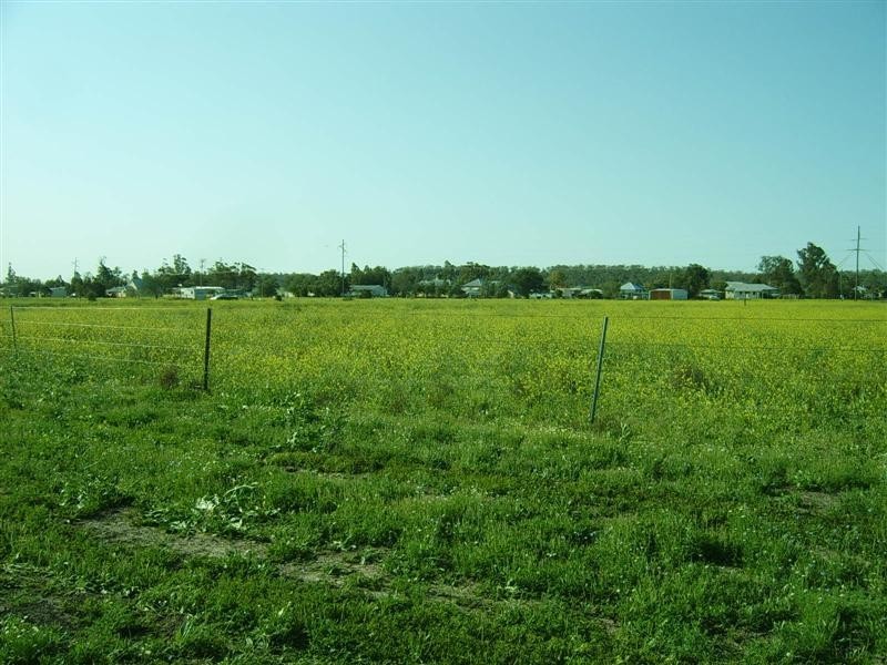 Lot 37 Baron Street, Jondaryan QLD 4403