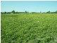 Lot 37 Baron Street, Jondaryan QLD 4403