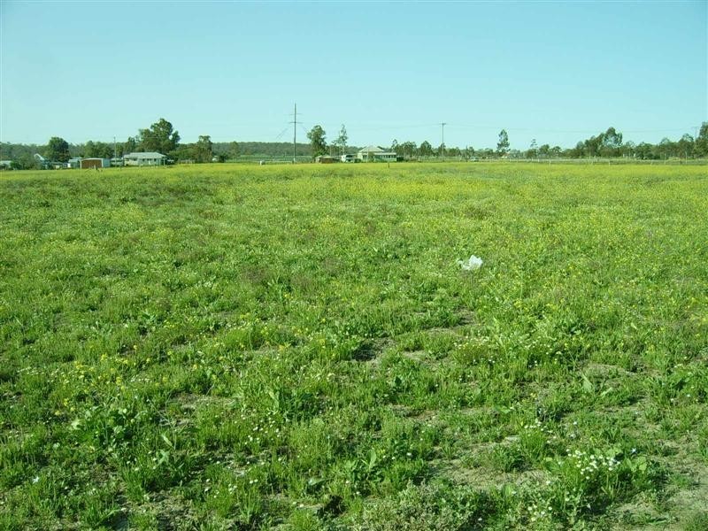 Lot 37 Baron Street, Jondaryan QLD 4403