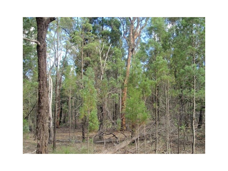 Lot 51 Pine Road, Millmerran QLD 4357