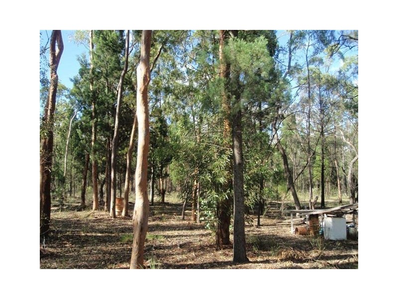Lot 51 Pine Road, Millmerran QLD 4357