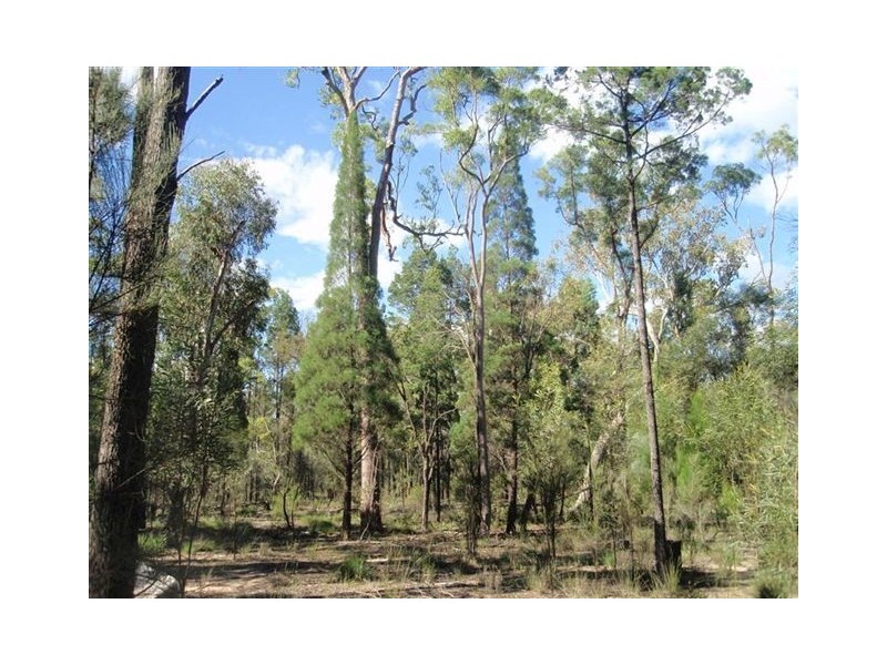 Lot 51 Pine Road, Millmerran QLD 4357