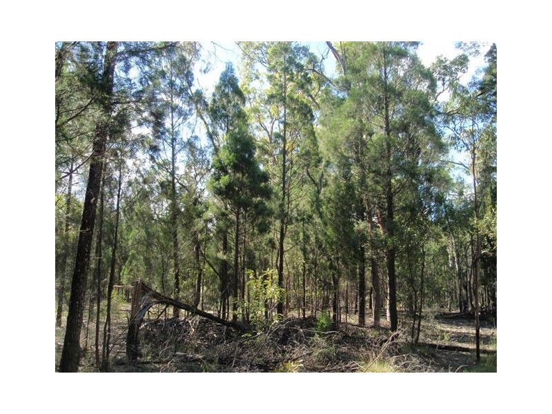 Lot 51 Pine Road, Millmerran QLD 4357