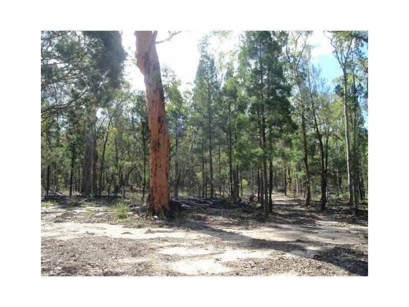 Lot 51 Pine Road, Millmerran QLD 4357