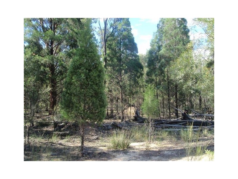 Lot 51 Pine Road, Millmerran QLD 4357