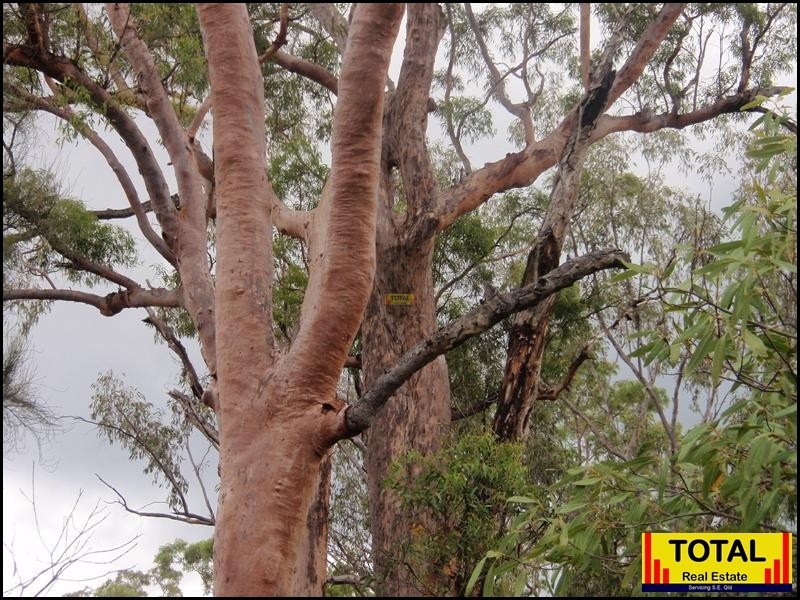 Millmerran QLD 4357