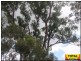 Millmerran QLD 4357