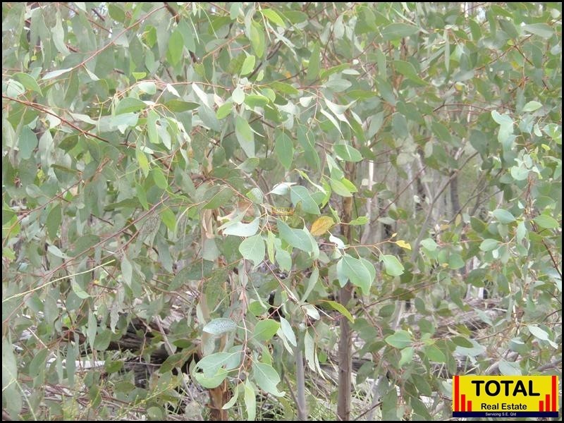 Millmerran QLD 4357