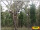 Millmerran QLD 4357