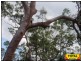 Millmerran QLD 4357