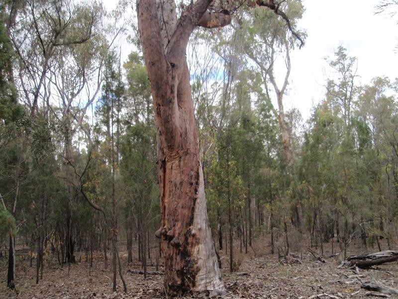 5  Ayres Rock Rd, Millmerran QLD 4357