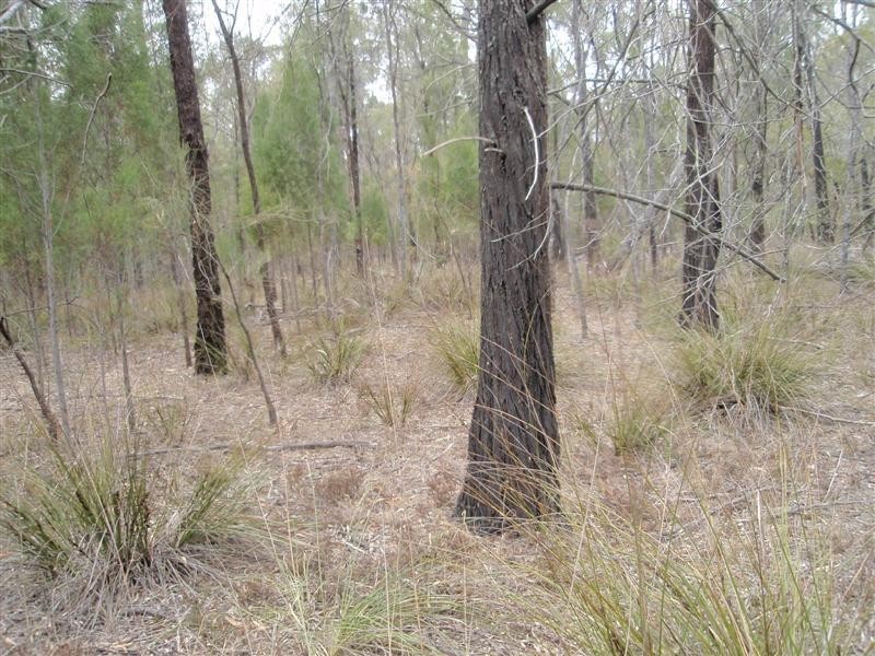 5  Ayres Rock Rd, Millmerran QLD 4357