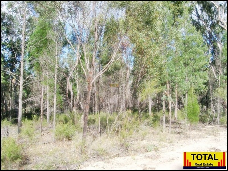 53 Pine Rd Millmerran, Millmerran QLD 4357