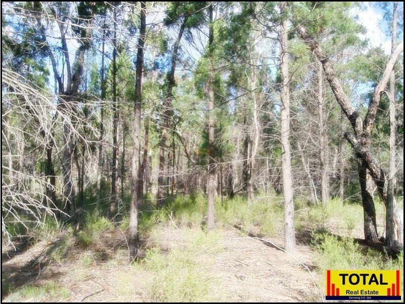 53 Pine Rd Millmerran, Millmerran QLD 4357