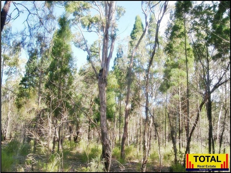 53 Pine Rd Millmerran, Millmerran QLD 4357