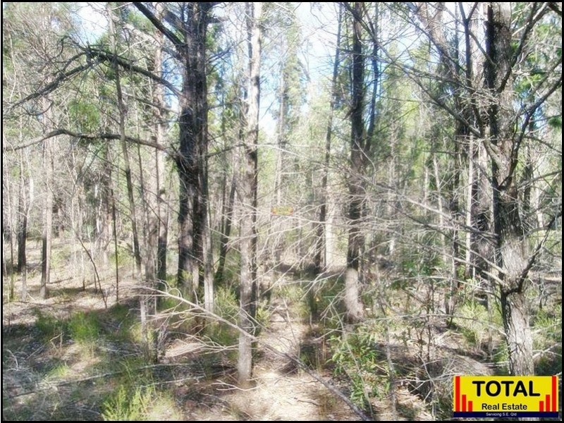 53 Pine Rd Millmerran, Millmerran QLD 4357