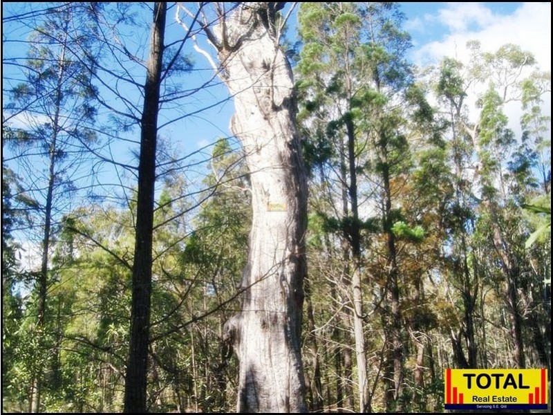 53 Pine Rd Millmerran, Millmerran QLD 4357