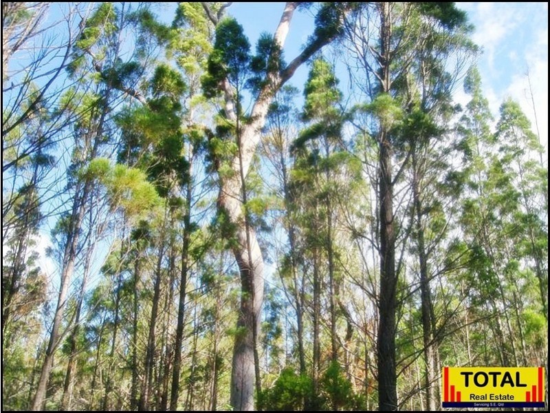 53 Pine Rd Millmerran, Millmerran QLD 4357