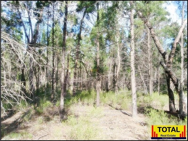 53 Pine Road, Millmerran QLD 4357