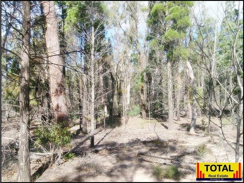 53 Pine Road, Millmerran QLD 4357