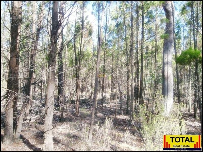 53 Pine Road, Millmerran QLD 4357