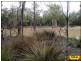 35 Kakadu Drive, Millmerran QLD 4357