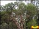 Lot 14 Rosella Avenue, Millmerran QLD 4357