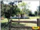 11 Camellia Court, Millmerran QLD 4357