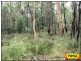 Lot 47 Pine Road, Millmerran QLD 4357