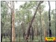 Lot 47 Pine Road, Millmerran QLD 4357