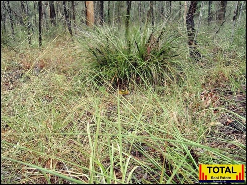 Lot 47 Pine Road, Millmerran QLD 4357