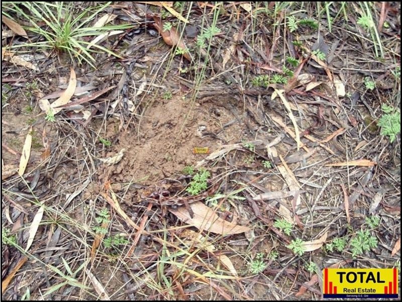 Lot 47 Pine Road, Millmerran QLD 4357