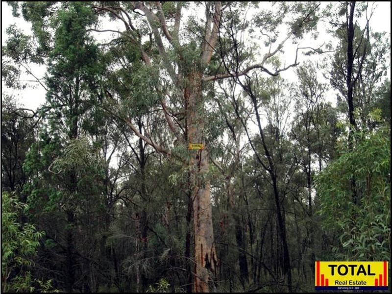 Lot 47 Pine Road, Millmerran QLD 4357