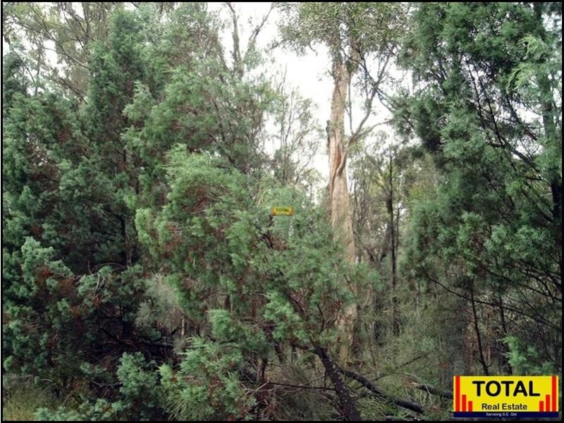 Lot 47 Pine Road, Millmerran QLD 4357