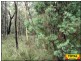 Lot 47 Pine Road, Millmerran QLD 4357