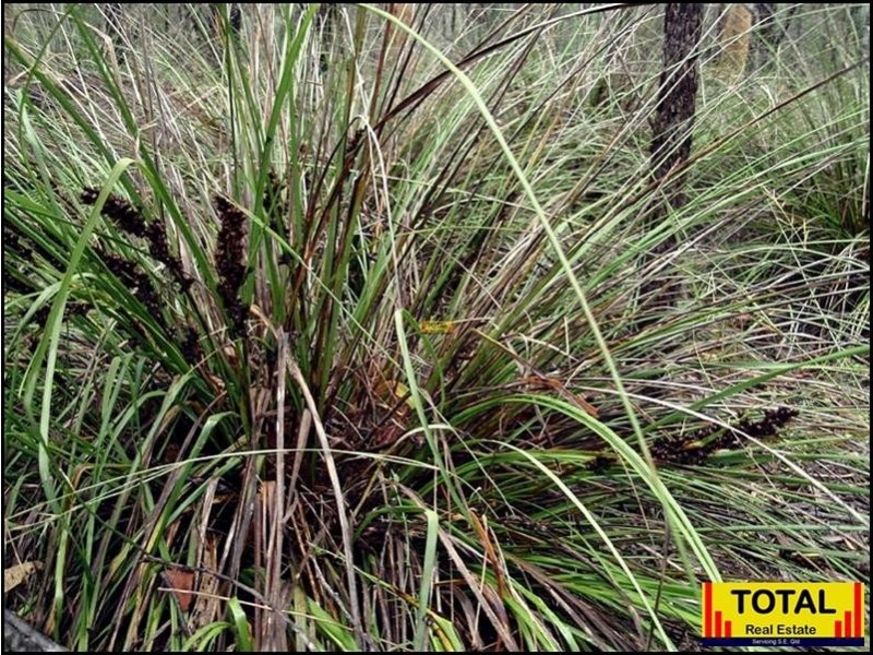 Lot 47 Pine Road, Millmerran QLD 4357