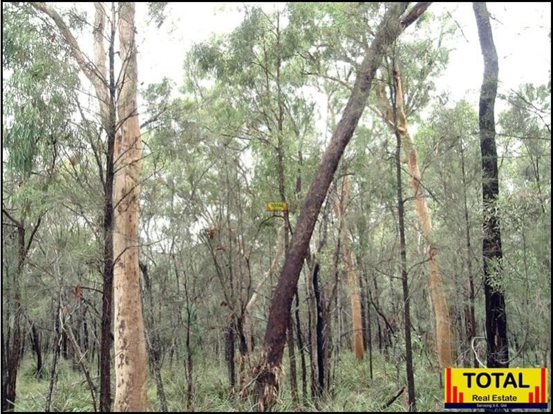 Lot 47 Pine Road, Millmerran QLD 4357