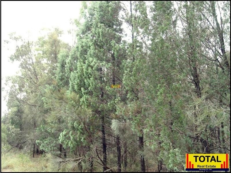 Lot 47 Pine Road, Millmerran QLD 4357