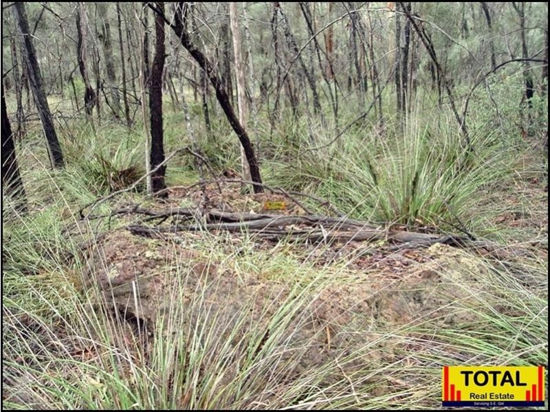 Lot 47 Pine Road, Millmerran QLD 4357