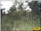 Lot 30 Millmerran Woods Road, Millmerran QLD 4357