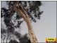 Lot 30 Millmerran Woods Road, Millmerran QLD 4357