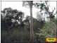 Lot 30 Millmerran Woods Road, Millmerran QLD 4357