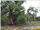 Lot 30 Millmerran Woods Road, Millmerran QLD 4357