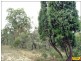 Lot 30 Millmerran Woods Road, Millmerran QLD 4357