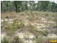 Lot 30 Millmerran Woods Road, Millmerran QLD 4357