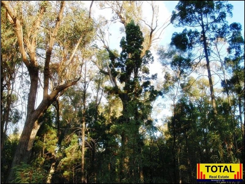 Lot 9 Pine Ridge Road, Millmerran QLD 4357