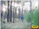 Lot 9 Pine Ridge Road, Millmerran QLD 4357