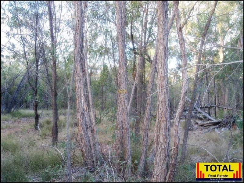Lot 9 Pine Ridge Road, Millmerran QLD 4357