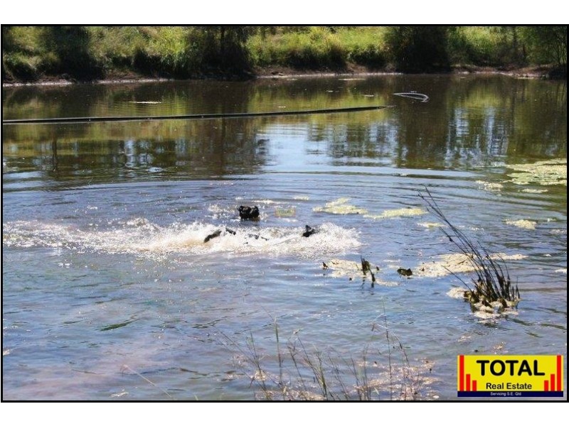 100 Carnarvon Highway, Surat QLD 4417