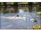 100 Carnarvon Highway, Surat QLD 4417